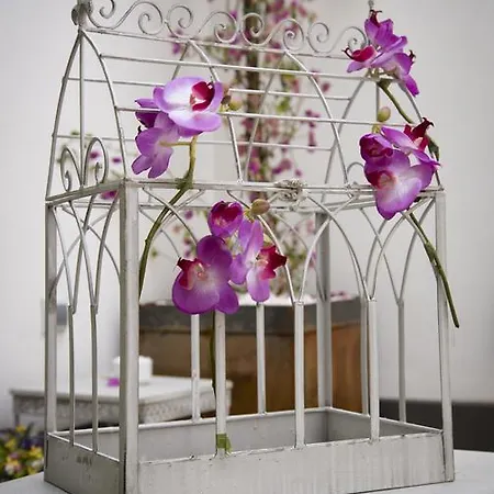 Emeritae Konukevi 2*