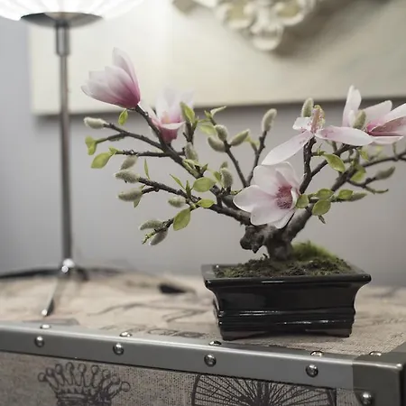 Konukevi Emeritae Mérida