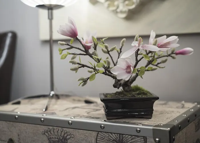 Vendégház Emeritae Mérida